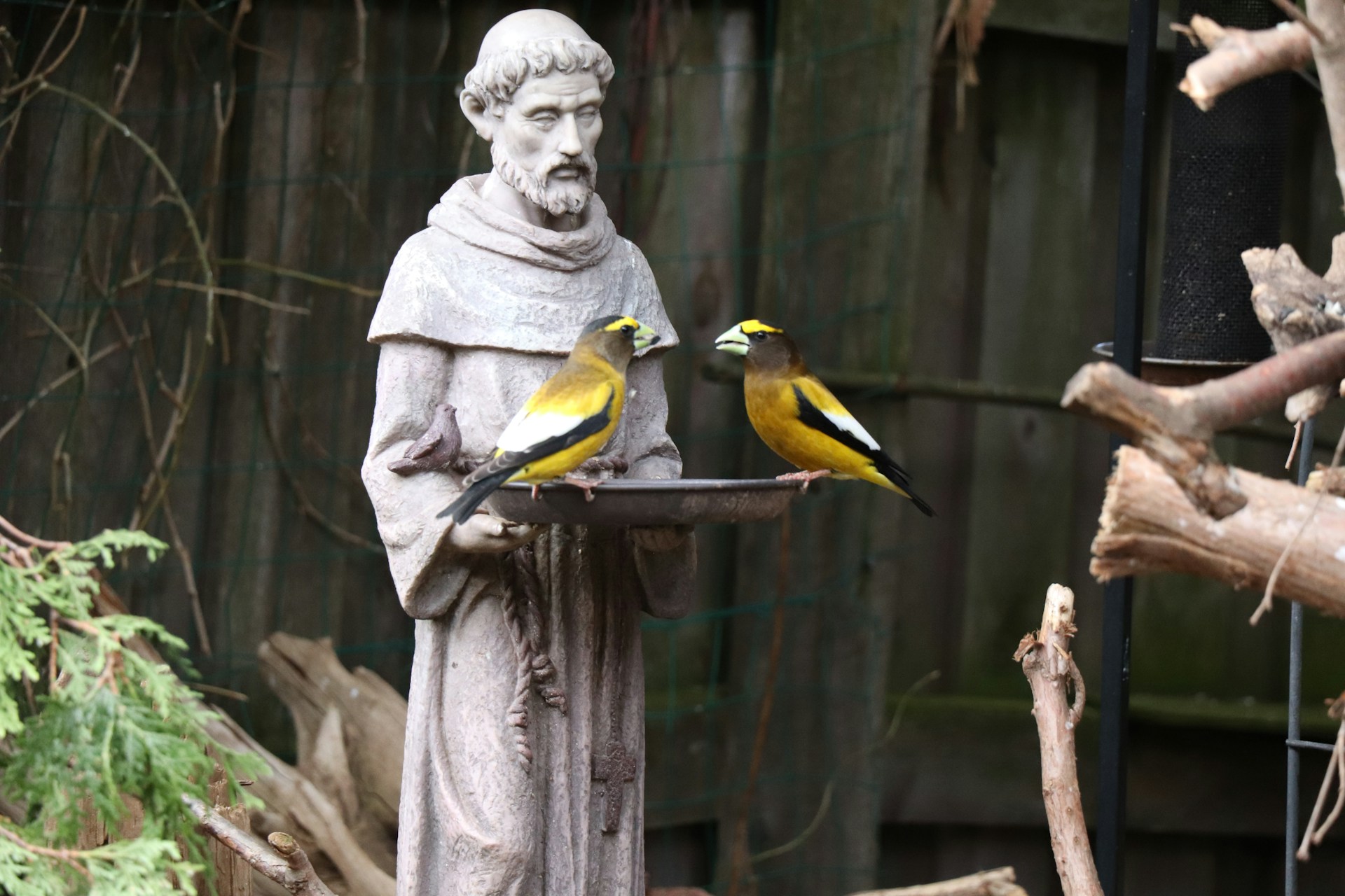 The Gospel and a Theology of Kitsch