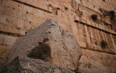 Holiness, a Misunderstood Calling